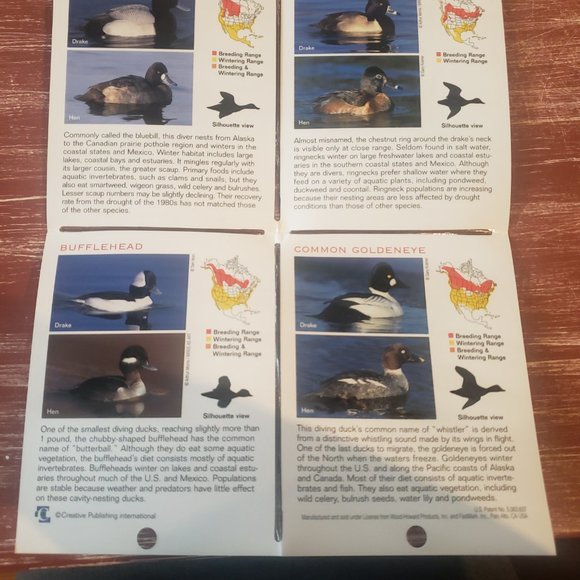 Duck Hunting Laminated Pocket Guides - Set of 3 - Picture 5 of 11